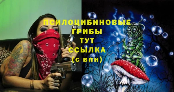 соль курить ск Алексеевка