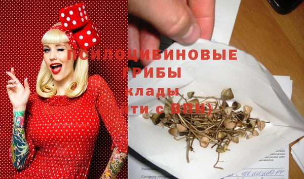 мет Алексин