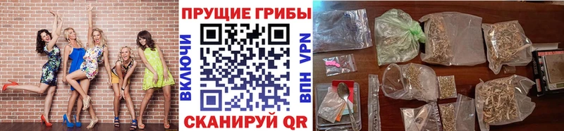 Псилоцибиновые грибы ЛСД  Каргат 